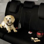 CUBIERTA DE ASIENTO - Odyssey 2011-2017